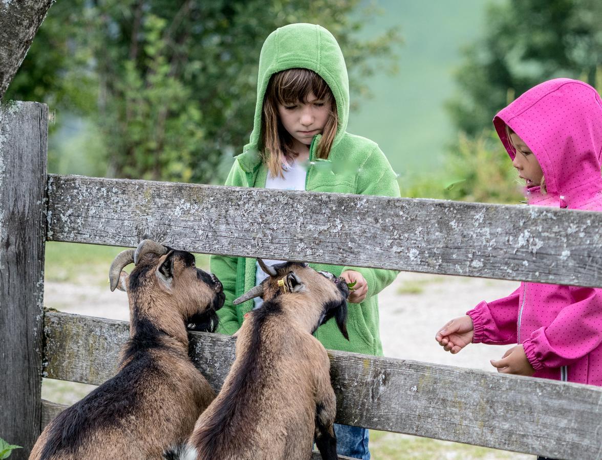 Christernhof Villa Maria Alm am Steinernen Meer Kültér fotó