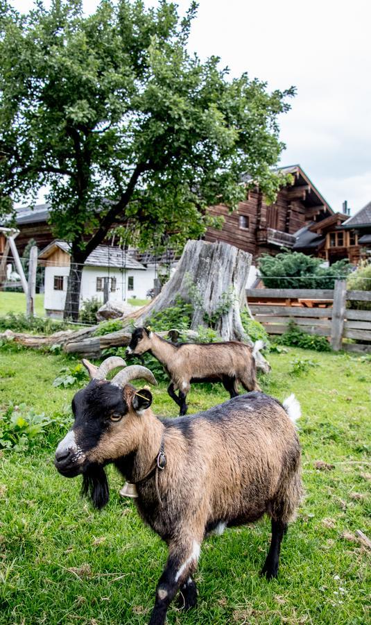 Christernhof Villa Maria Alm am Steinernen Meer Kültér fotó