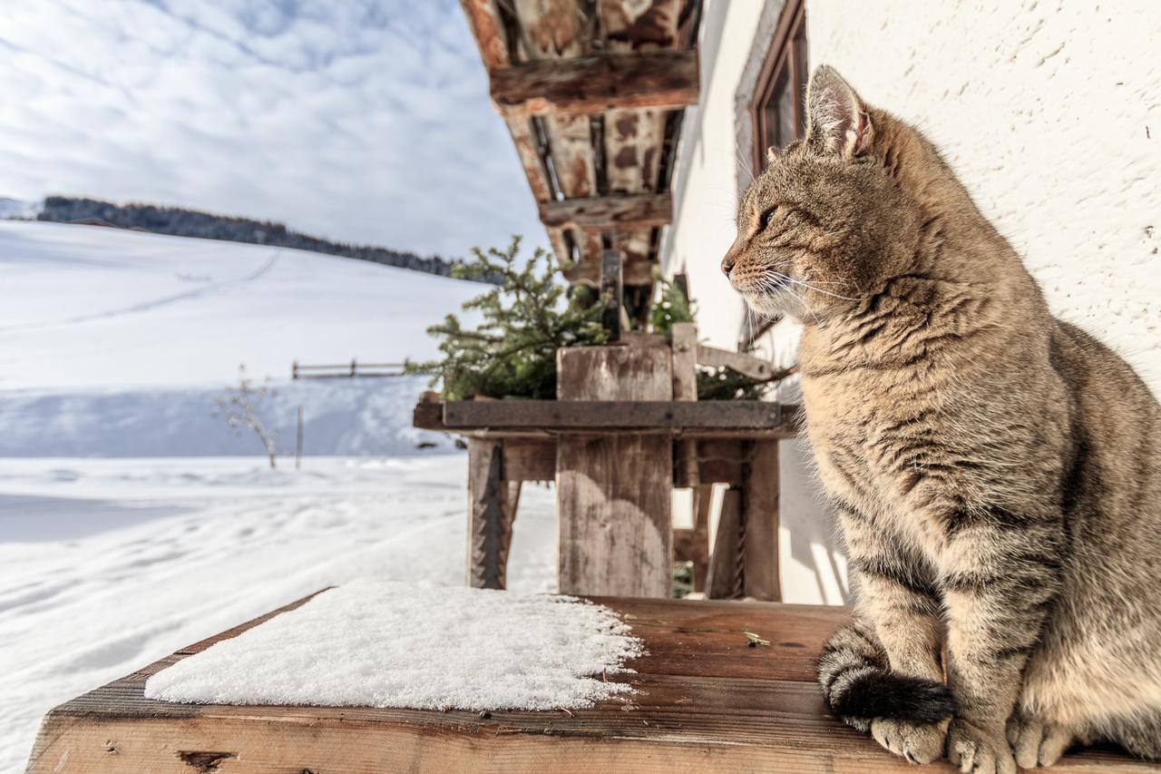 Christernhof Villa Maria Alm am Steinernen Meer Kültér fotó