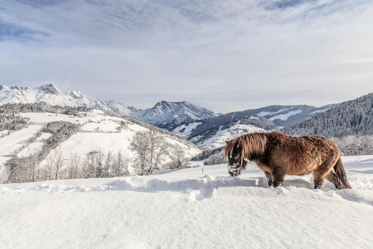 Christernhof Villa Maria Alm am Steinernen Meer Kültér fotó